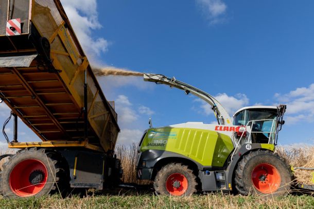 Harvesting Miscanthus